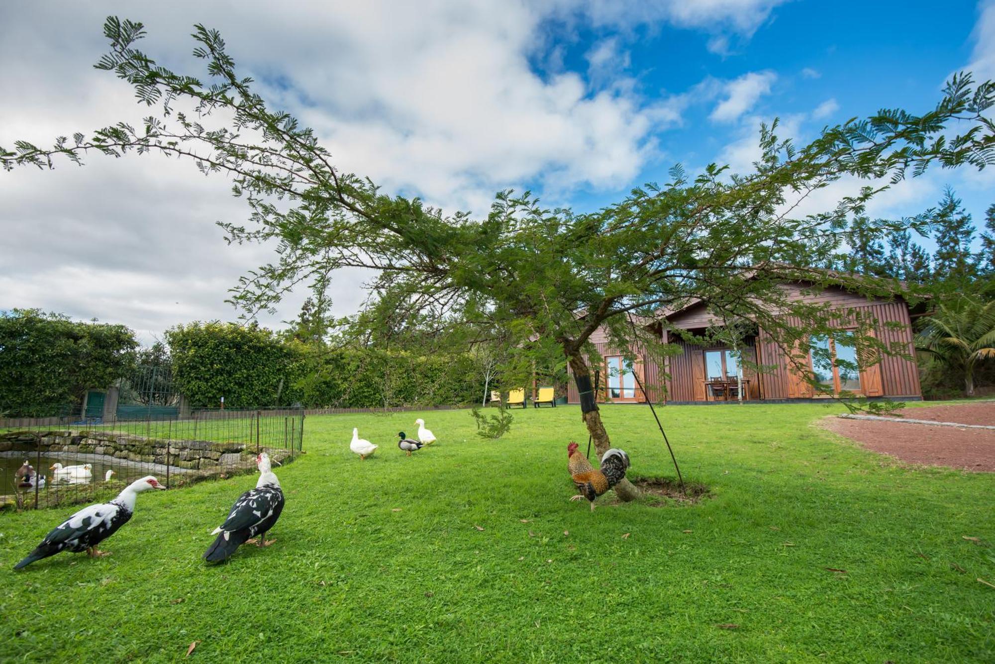 Quinta Dos Curubas Villa วิลา เฟรนคา โด คัมโป ภายนอก รูปภาพ