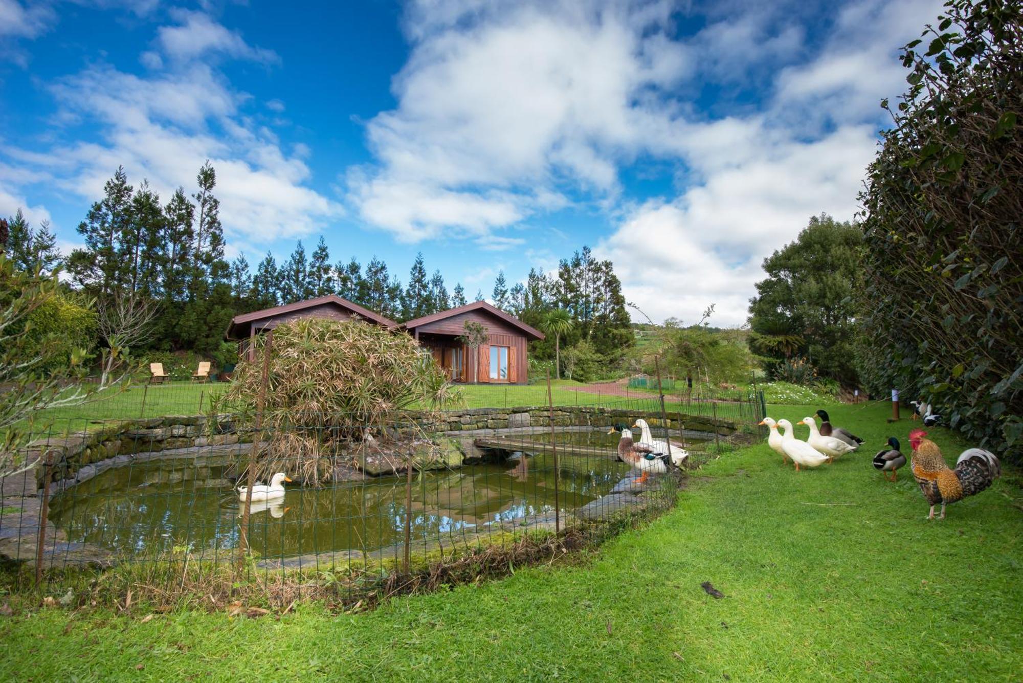 Quinta Dos Curubas Villa วิลา เฟรนคา โด คัมโป ภายนอก รูปภาพ